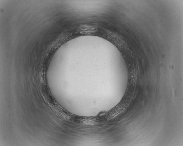 X0000069360755200606021453