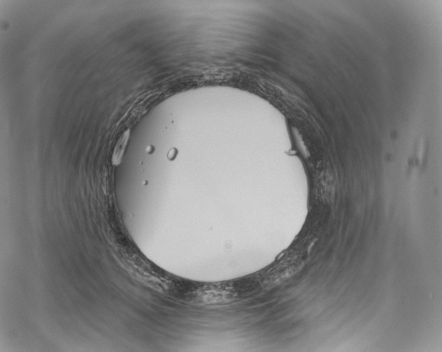 X0000069360756200606021453