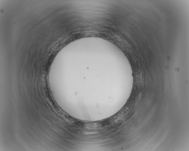 X0000069360757200606021453