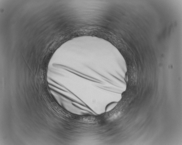 X0000069360758200606021453