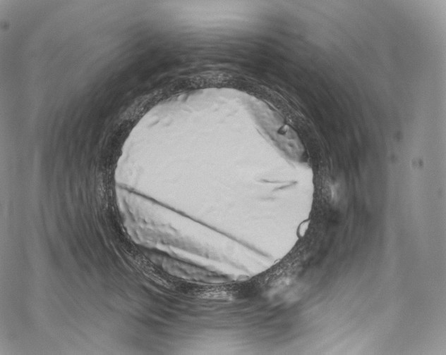 X0000069360759200606021453