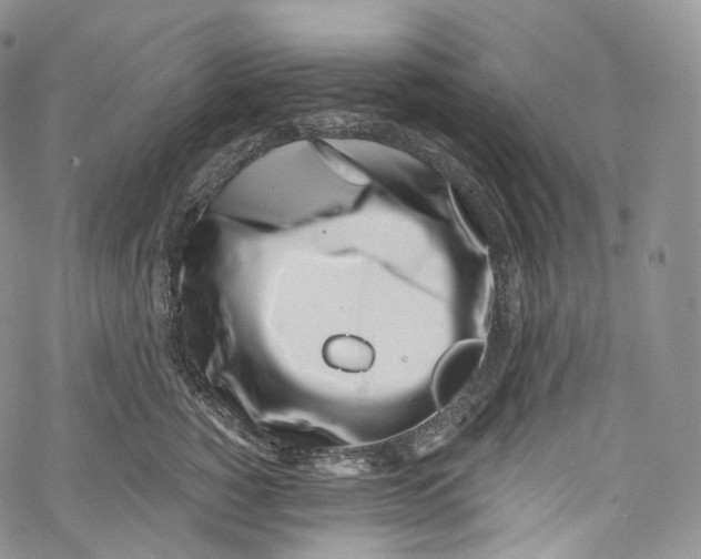 X0000069360760200606021453