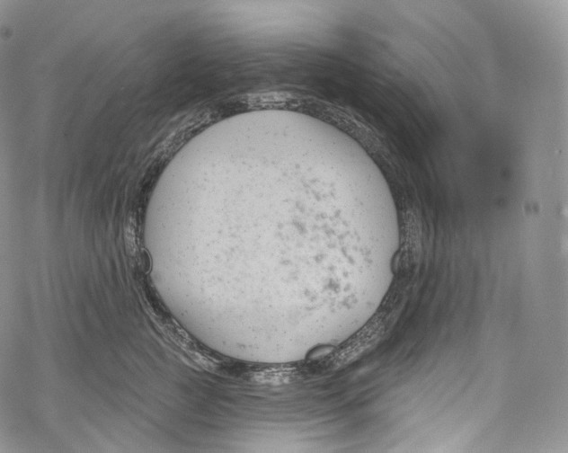 X0000069360761200606021453