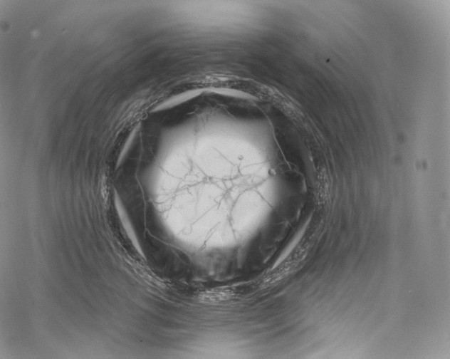 X0000069360762200606021453