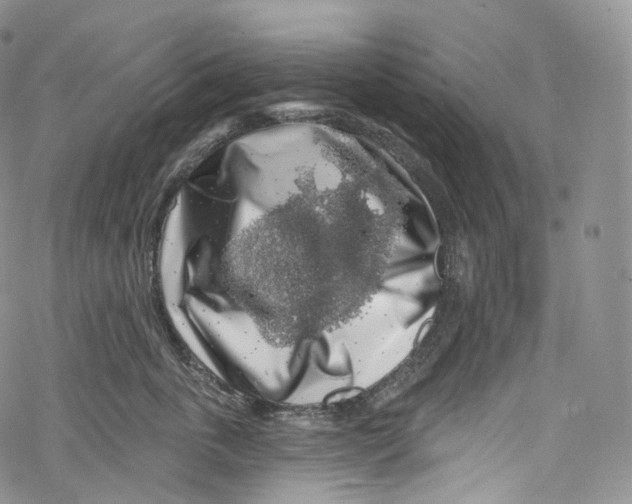 X0000069360763200606021453