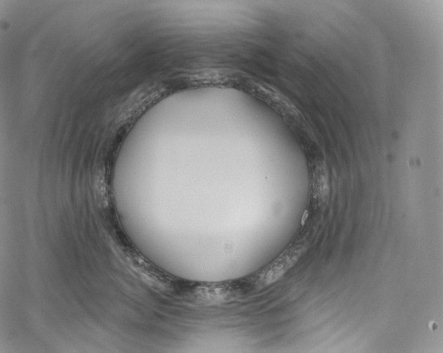 X0000069360764200606021453