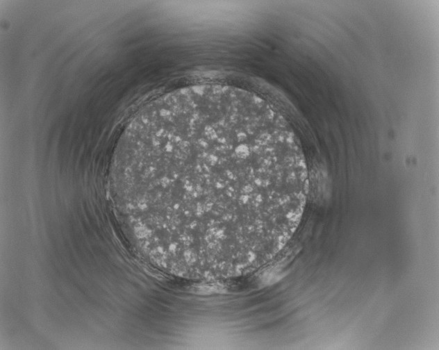 X0000069360765200606021453