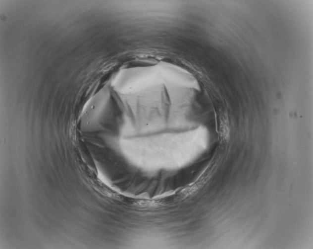 X0000069360766200606021453