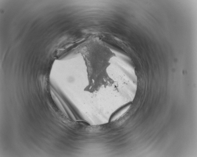 X0000069360767200606021453