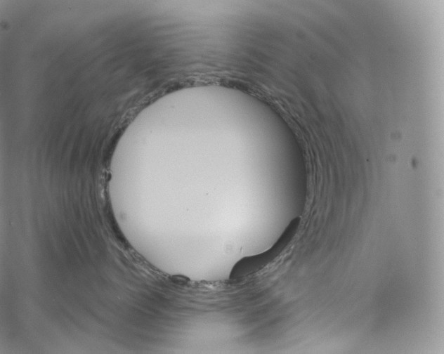 X0000069360768200606021453