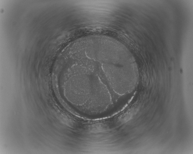 X0000069360769200606021452