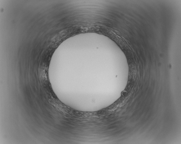 X0000069360770200606021452