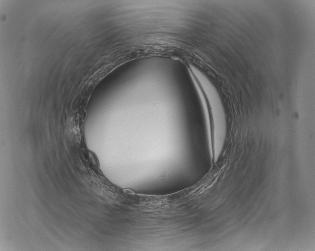 X0000069360771200606021452