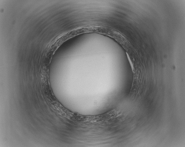 X0000069360773200606021452