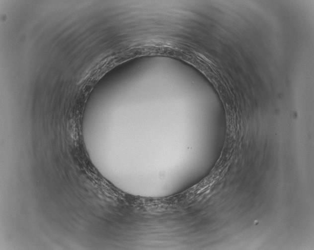 X0000069360774200606021452