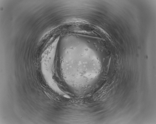 X0000069360775200606021452