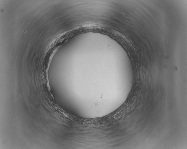 X0000069360776200606021452