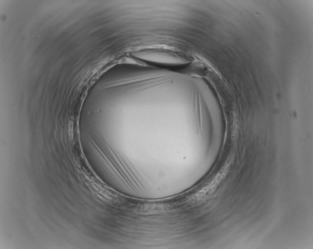 X0000069360777200606021452