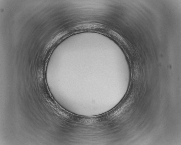 X0000069360778200606021452