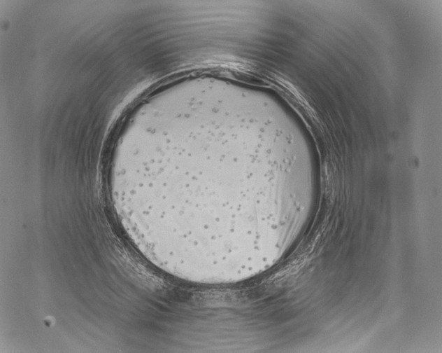 X0000069360780200606021452