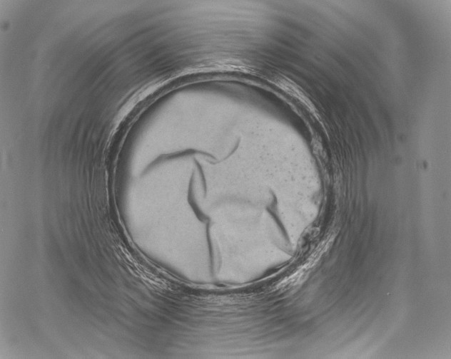 X0000069360781200606021452