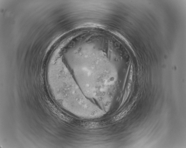 X0000069360783200606021452