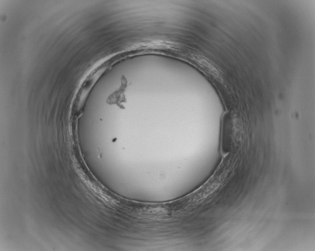 X0000069360784200606021452