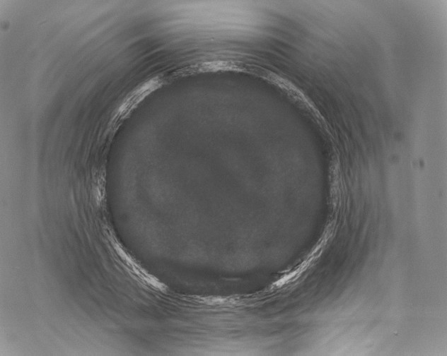 X0000069360785200606021452