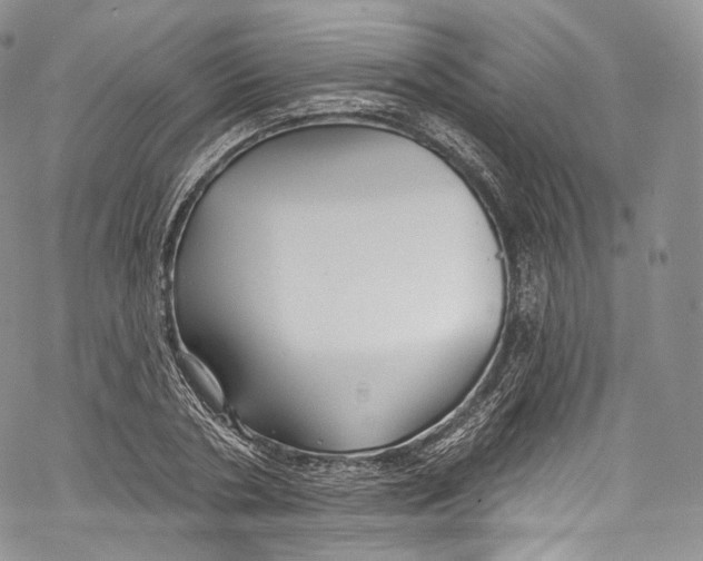 X0000069360786200606021452