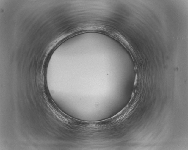 X0000069360787200606021452