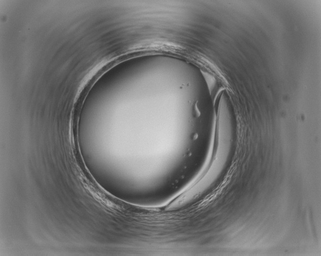 X0000069360788200606021452