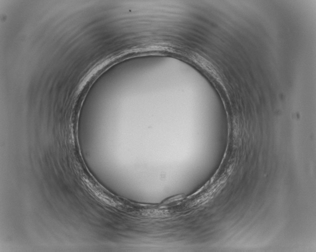 X0000069360789200606021452