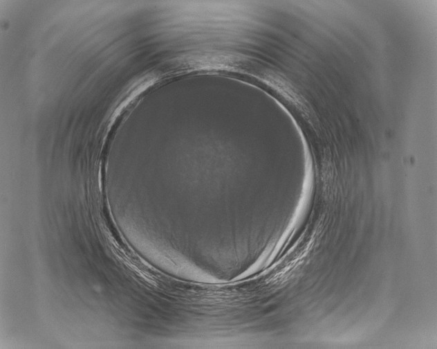 X0000069360790200606021452