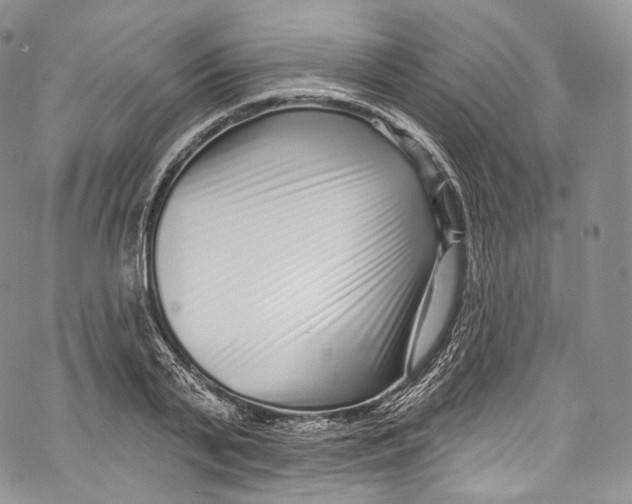 X0000069360791200606021452