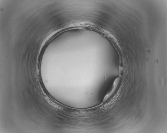 X0000069360792200606021452