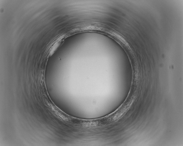 X0000069360793200606021452