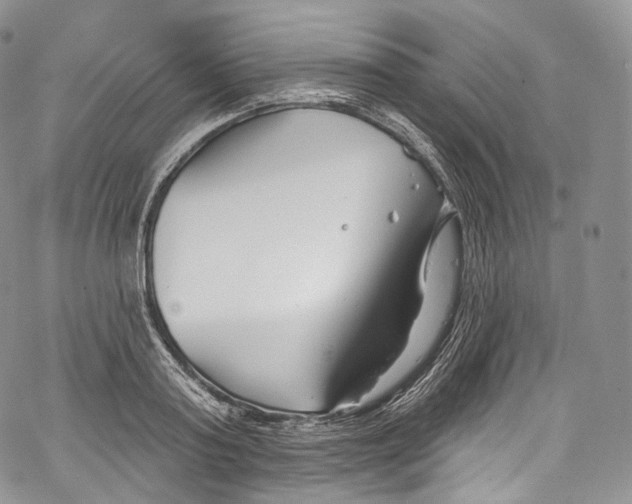 X0000069360795200606021452