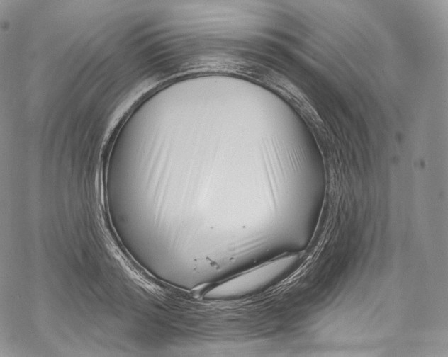 X0000069360796200606021452