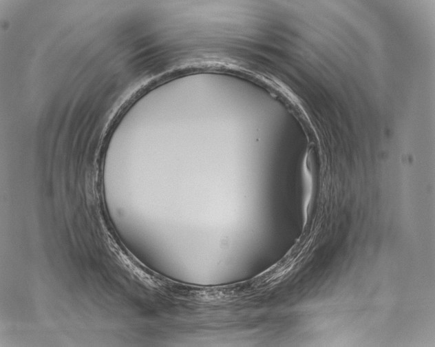 X0000069360799200606021452