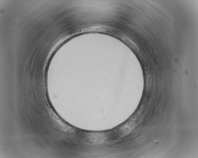 X0000069360800200606021451