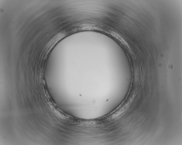 X0000069360801200606021451