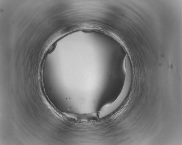 X0000069360803200606021451