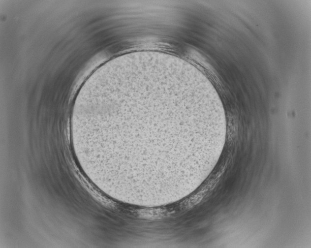 X0000069360804200606021451