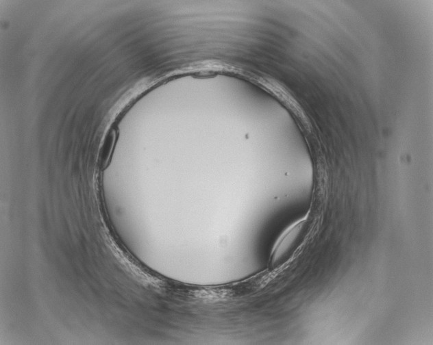 X0000069360805200606021451