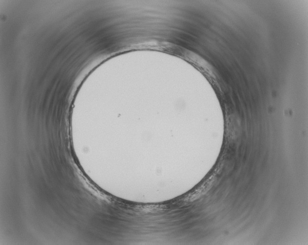 X0000069360808200606021451