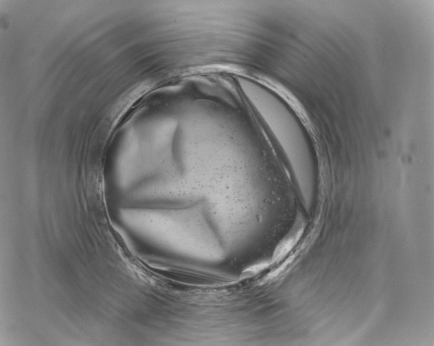 X0000069360809200606021451