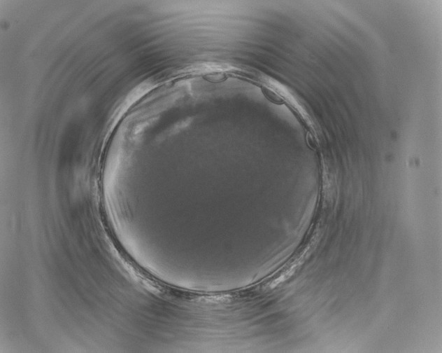 X0000069360810200606021451