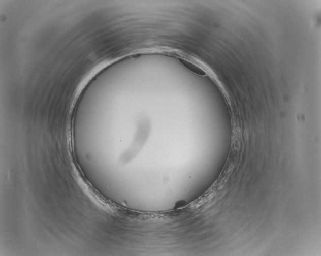 X0000069360811200606021451