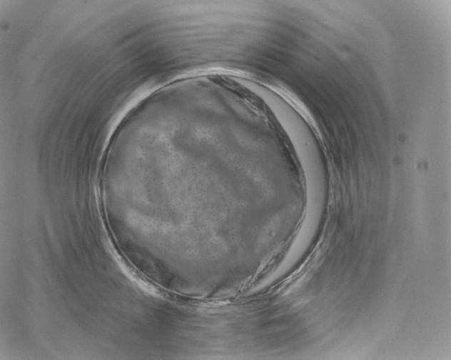 X0000069360813200606021451