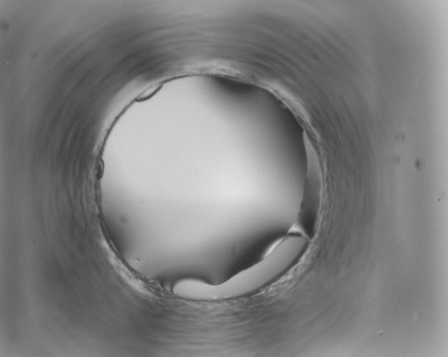 X0000069360816200606021451